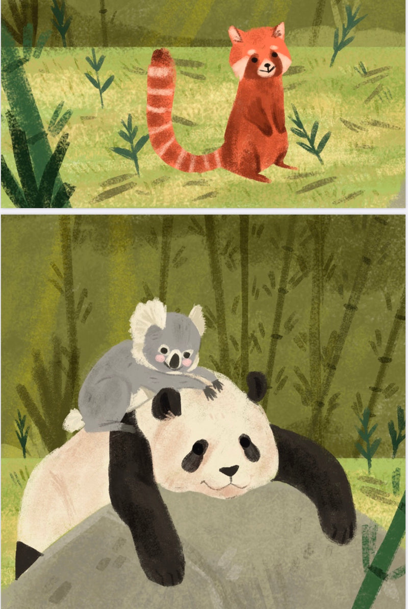 Love the Koala 🐨 Children’s picture books